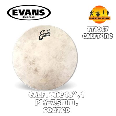 EVANS HEAD DRUM TT10C7 - SIZE 10"