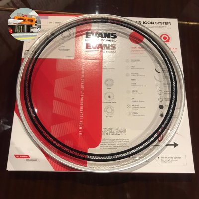 EVANS HEAD DRUM TT12ECR - SIZE 12"