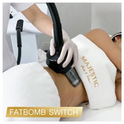 Fatbomb & Switch Program (2เทคนิค)