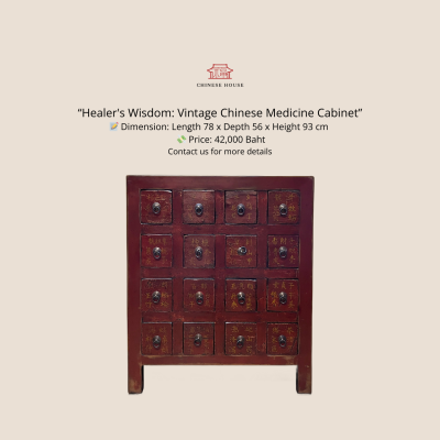 Healer's Wisdom: Vintage Chinese Medicine Cabinet