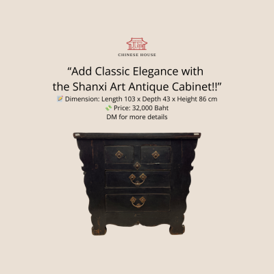 Shanxi Art Antique Cabinet