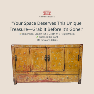 Shanxi Antique Cabinet