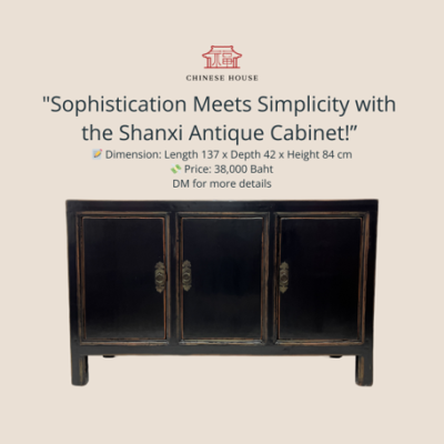 Shanxi Antique Cabinet