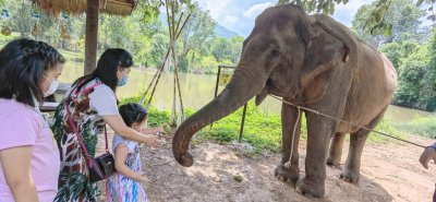 ศูนย์การเรียนรู้ช้าง(พิษณุโลก)