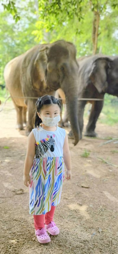ศูนย์การเรียนรู้ช้าง(พิษณุโลก)