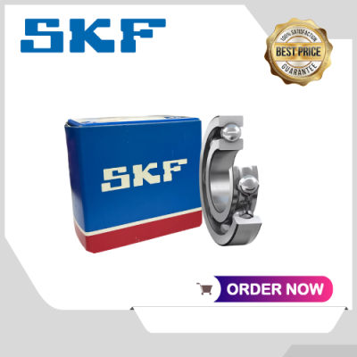 6417 SKF