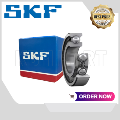 6003  SKF