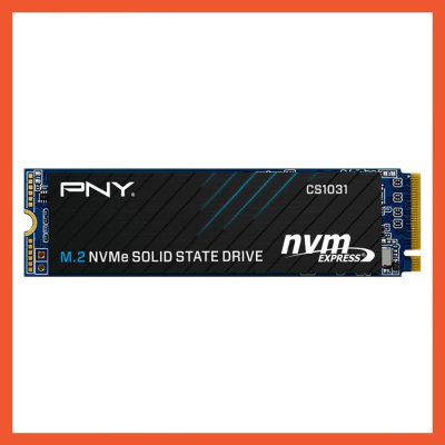 SSD (เอสเอสดี) PNY CS1031 256GB NVMe M.2 PCIe 3.0