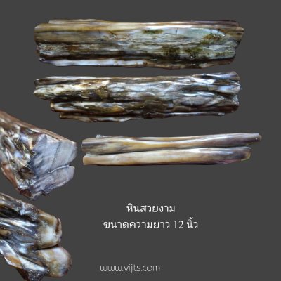 หินสวยงาม สะสม ขนาดความยาว 12  นิ้ว