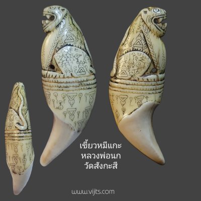 เขี้ยวหมีแกะ หลวงพ่อนก วัดสังกะสี #2