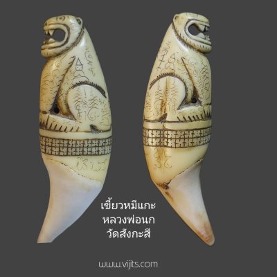 เขี้ยวหมีแกะ หลวงพ่อนก วัดสังกะสี #1