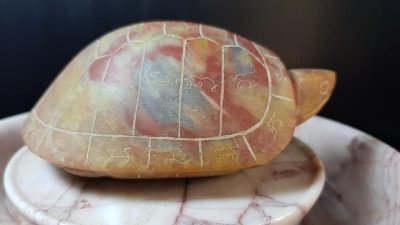 เต่า หลวงพ่อสนิท วัดลำบัวลอย #1