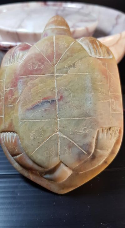 เต่า หลวงพ่อสนิท วัดลำบัวลอย #2