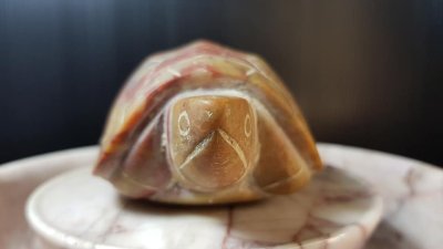 เต่า หลวงพ่อสนิท วัดลำบัวลอย #1