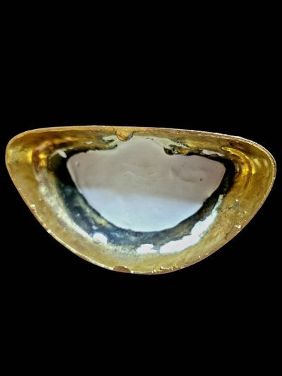 พระประธานวัดปากน้ำ ภาษีเจริญ ขนาดหน้าตัก5นิ้ว