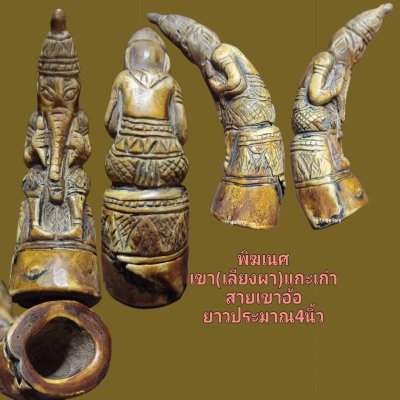 พิฆเนตร เขาแกะเก่า สำนักสายใต้