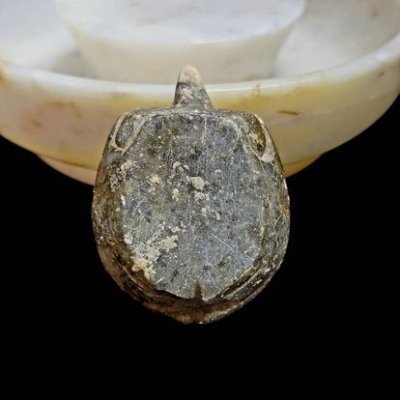 เต่า หลวงพ่อสนิท วัดลำบัวลอย  #3