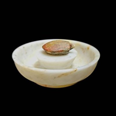 เต่า หลวงพ่อสนิท วัดลำบัวลอย  #3