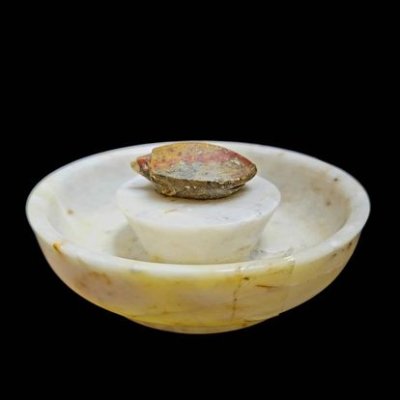 เต่า หลวงพ่อสนิท วัดลำบัวลอย  #3