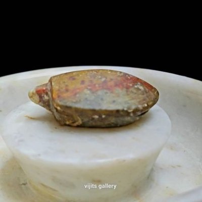 เต่า หลวงพ่อสนิท วัดลำบัวลอย  #3