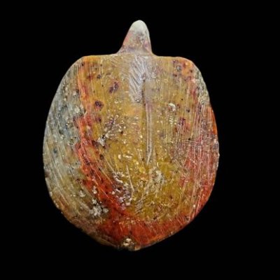 เต่า หลวงพ่อสนิท วัดลำบัวลอย  #3