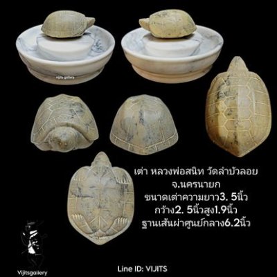 เต่า หลวงพ่อสนิท วัดลำบัวลอย #2