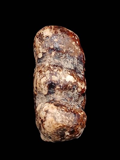 ปิดตา วัดสะพานสูง รักแดง พิมพ์ตะพาบใหญ่