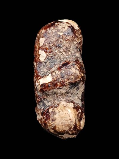 ปิดตา วัดสะพานสูง รักแดง พิมพ์ตะพาบใหญ่