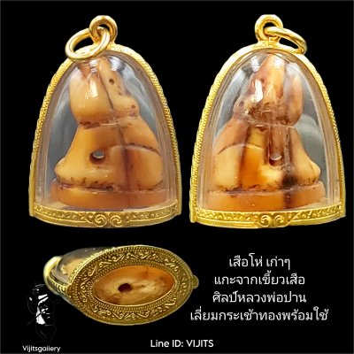 เสือโห่แกะเขี้ยวเสือ เลี่ยมทองพร้อมใช้