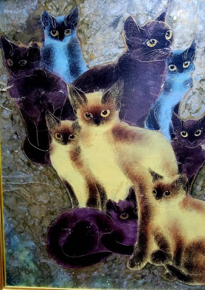 ภาพรูปแมวไทยจาก ศิลปิน Tumsri