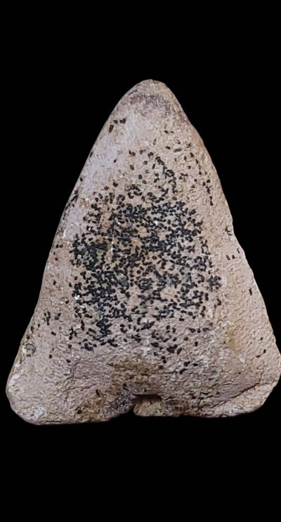 พระผงรูปเหมือน " หลวงพ่อจง วัดหน้าต่างนอก " วัดปราสาทบุญญานวาส ปี ๒๕๐๖