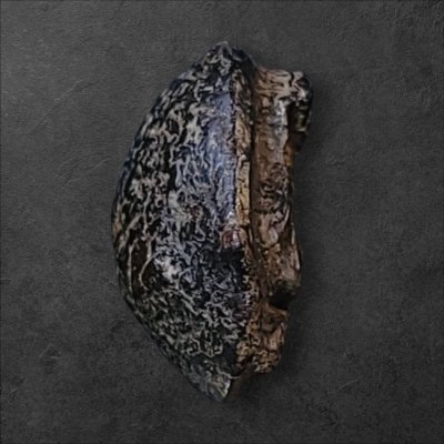 พระปิดตา เนื้อผงคลุกรัก หลวงพ่อเชย วัดบางกระสอบ พิมพ์แขนกลม