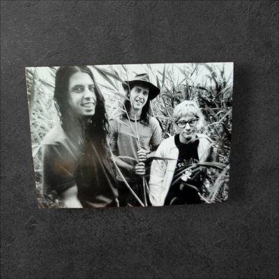 งานสะสม postcard nirvana ภาพขาวดำ ขนาด 4x6" จำนวน 16 ภาพ