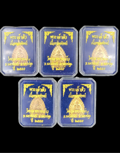 เหรียญเจ้าสัว 3 ตำรับหลวงปู่บุญ วัดกลางบางแก้ว เนื้อทองทิพย์ พิมพ์เล็ก ปี 2555 พร้อมกล่องเดิมจากวัด