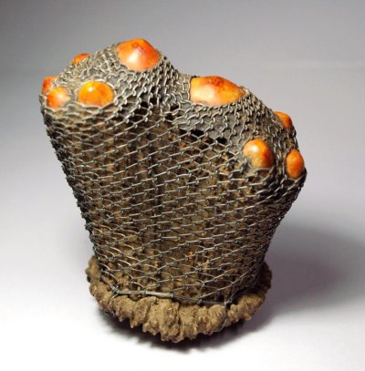 เขากวางคุต 9 ยอด ถัดลวดเดิม