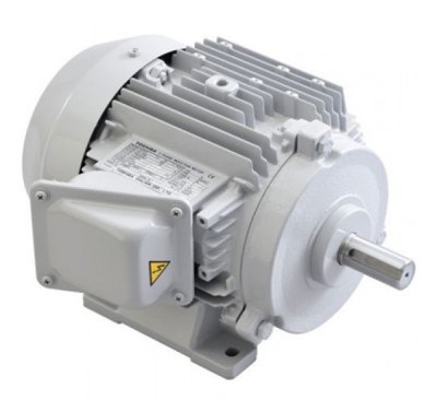 TOSHIBA Motor แบบขาตั้ง 3000 รอบ 1 แรงม้า รุ่น FT2-1HP-L