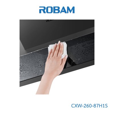 CXW-260-87H1S