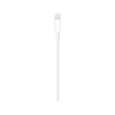 Apple Lightning to USB Cable (1m)