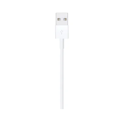 Apple Lightning to USB Cable (1m)