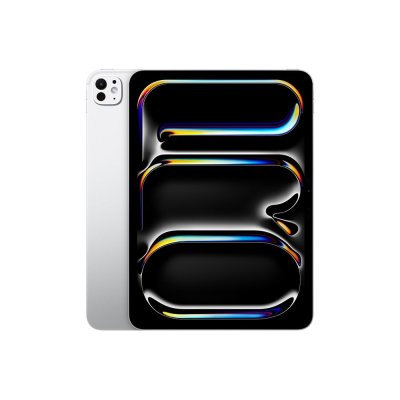 iPad Pro 11-inch Wi-Fi + Cellular 256GB  (5th Gen)