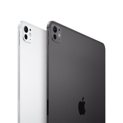 iPad Pro 11-inch Wi-Fi + Cellular 256GB  (5th Gen)