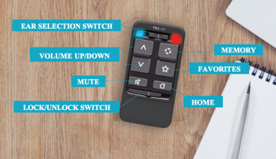 Surflink Basic Remote SurfLink Remote Control