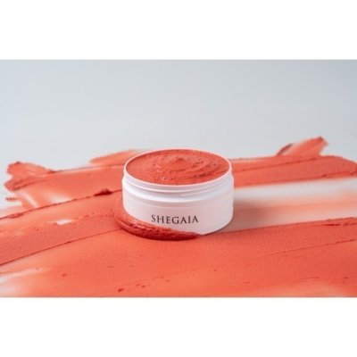 SHEGAIA RDRAGONBLOOD EXOSOMEPORE PROCEDURE MASK