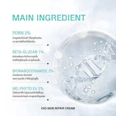 ส่วนผสมหลักครีม Exosome EXO Skin Repair Cream PDRN Beta Glucan Ceramide ช่วยซ่อมแซมและฟื้นฟูผิว