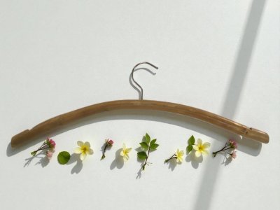 ไม้แขวนเสื้อ