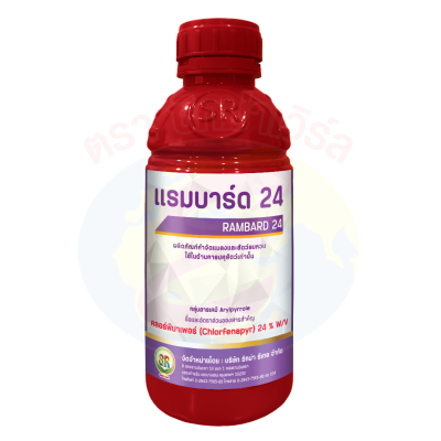 แรมบาร์ด 24