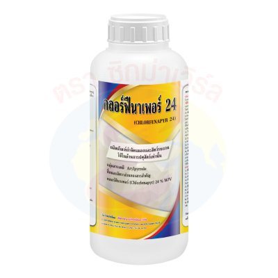 คลอร์ฟีนาเพอร์ 24