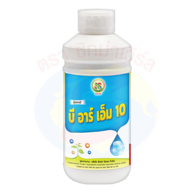 บี อาร์ เอ็ม 10