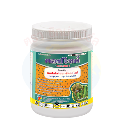 คอปไซด์