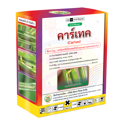 คาร์เทค